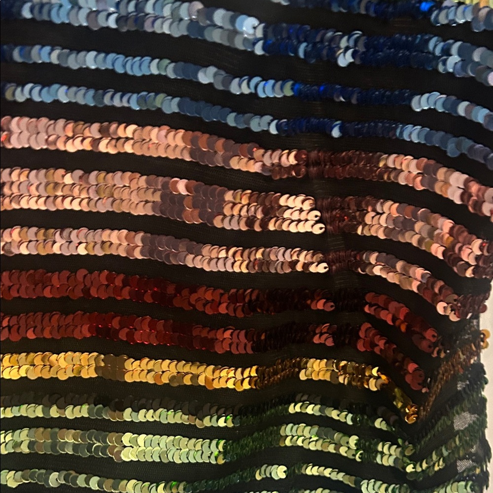 Express Black Multi-Color Sequin Stripe Tank Top - Picture 5 of 6